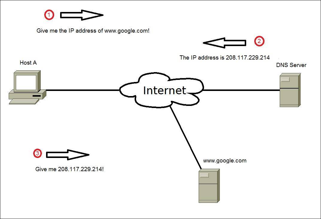 Domain Name Service (DNS) | CCNA