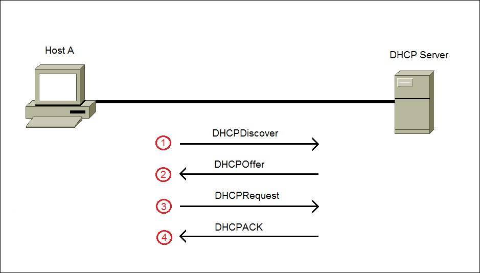 dhcp address assignment process