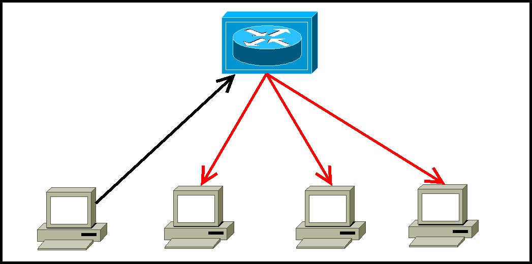 What is a network hub? CCNA