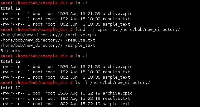 linux cpio copy-pass mode