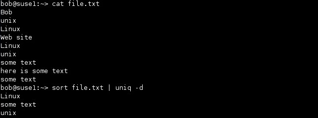 linux uniq befehl d option
