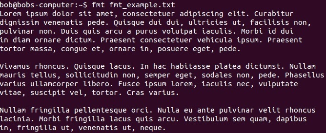 fmt command example