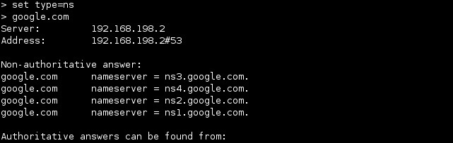 linux nslookup ns