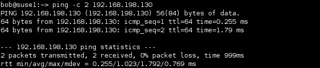 linux ping number of packets