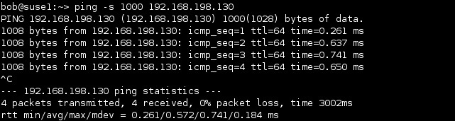 linux ping packet size