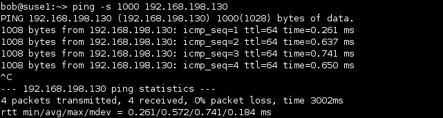 ping loopback packet info