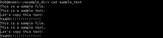 linux text file example
