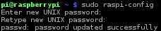 new password raspbian