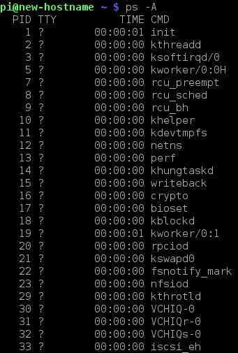 check running processes linux command line