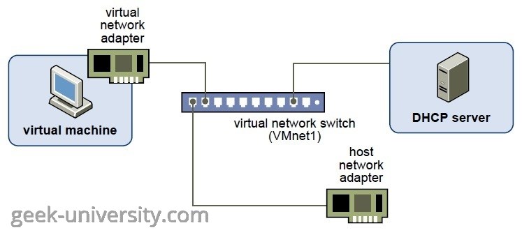 host only networking configuration