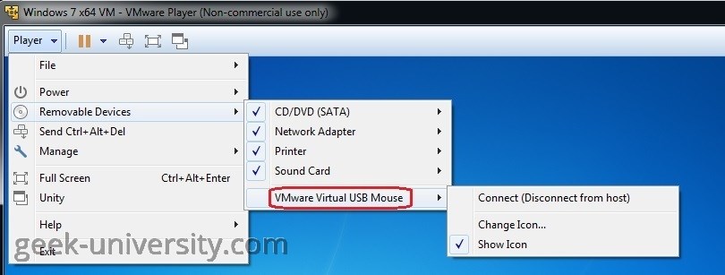 usb mouse connected virtual machine
