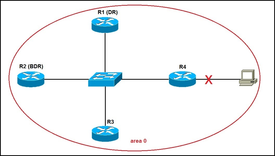 Designated router and backup designated router CCNA