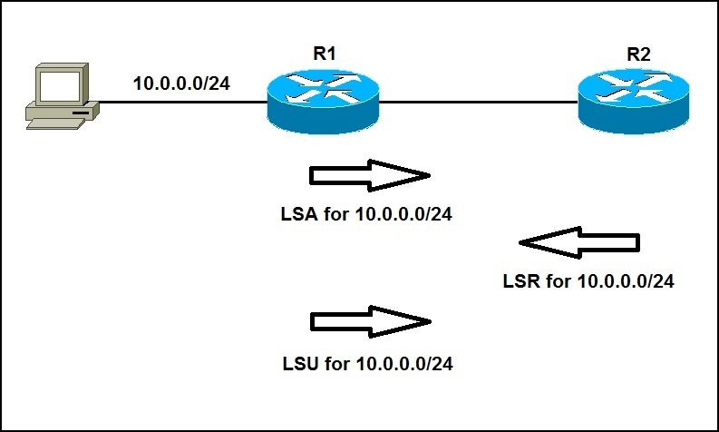 Какой тип маршрутизатора ospf создает lsa 3 го типа