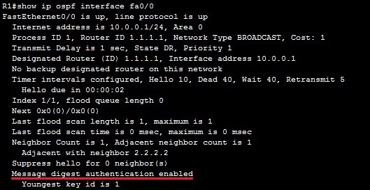 show ip ospf interface md5