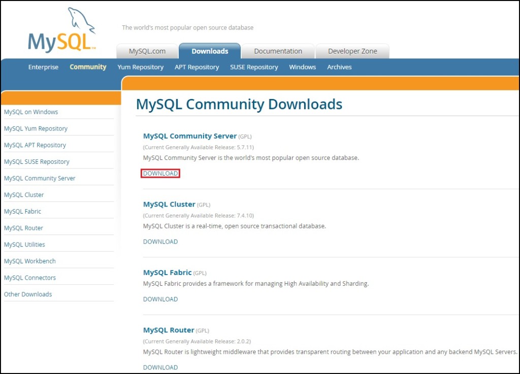 Install MySQL on Windows | MySQL#