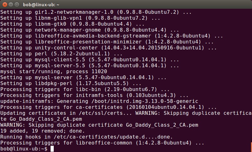 using sudo apt upgrade command