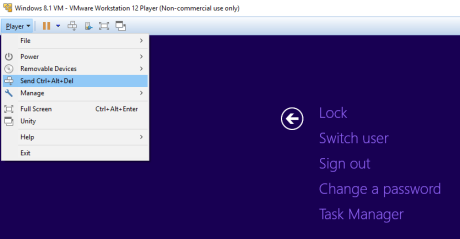 vmware workstation send ctrl alt del